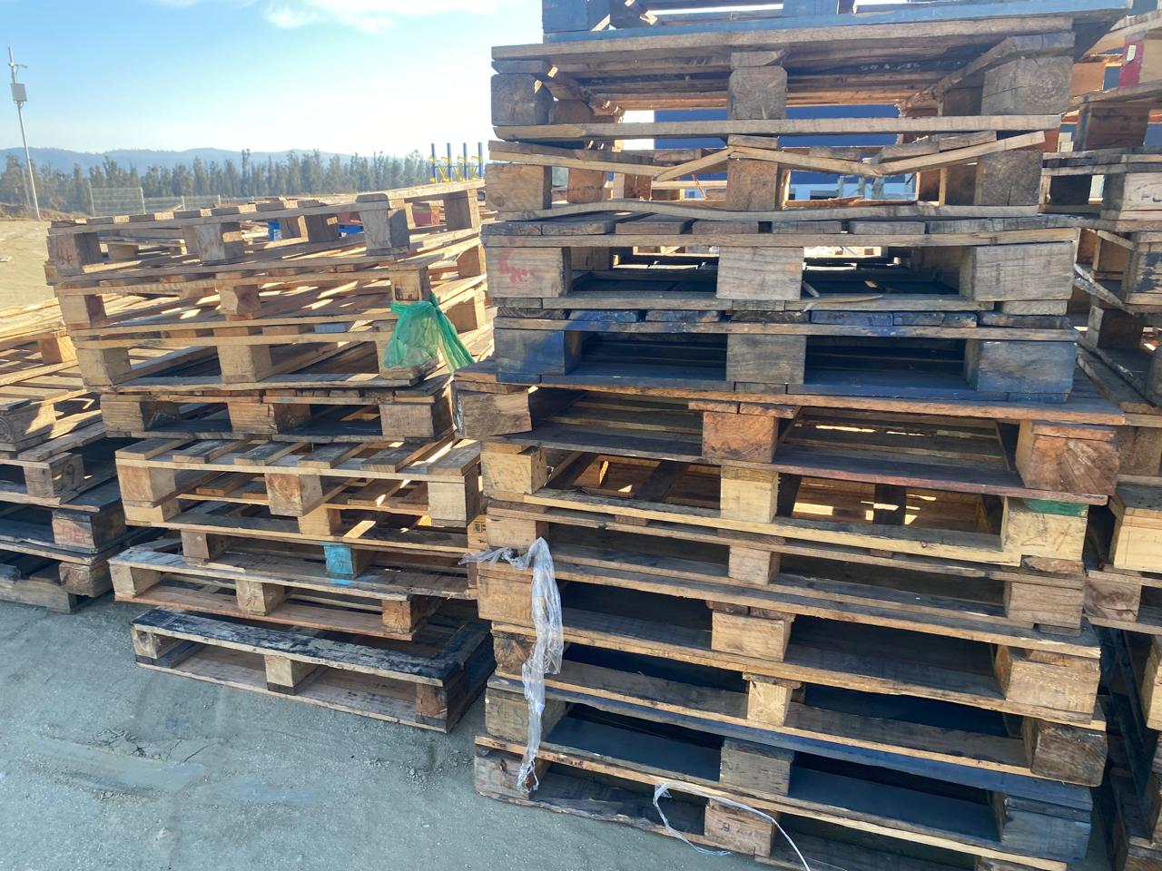 Pallets de Madera